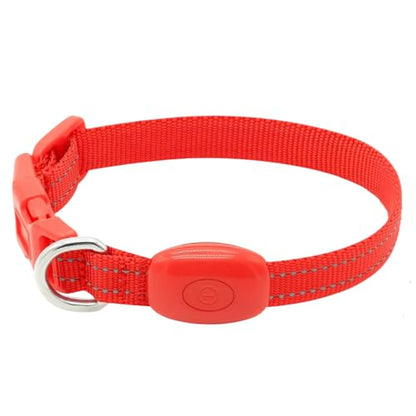 Light Up Dog Collar for Small Dogs (Red) - color: Red