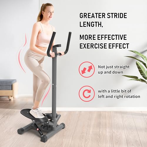 leikefitness Premium Portable Twist Stair Stepper Adjustable Resistance, Twisting Step Fitness Machine with Handbar and LCD Monitor (ST6619-Black)