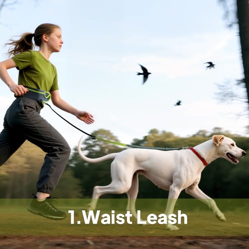 Hands Free Dog Leash with Zipper Pouch, Waist Leash for Dog Walking, Running and Hiking, Adjustable Belt with Handle, Reflective Bungee Design for Large & Medium Dogs