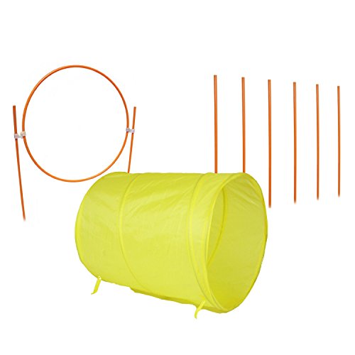 Outward Hound Zip & Zoom Outdoor Dog Agility Training Kit for Dogs