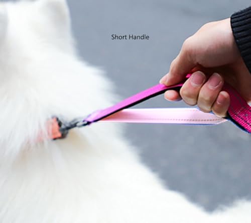 Hands Free Dog Leash for Large Medium Dogs Heavy Duty Bungee Reflective Adjustable Waist Leashes for Walking Running with Car Buckle 4-6FT (Rose) - color: Rose