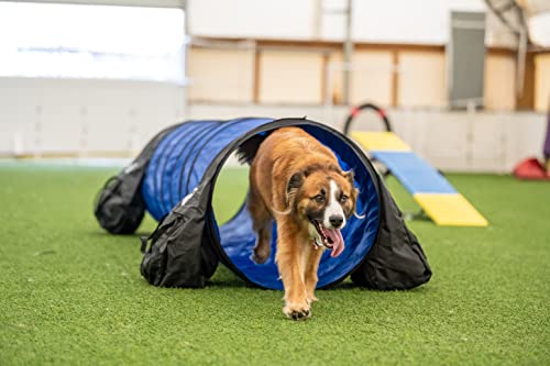 Better Sporting Dogs 10 Foot Dog Agility Tunnel