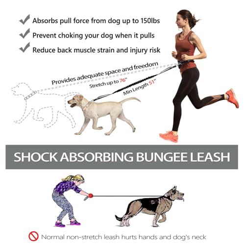 LANNEY Hands Free Dog Leash, Waist Running Leash with Zipper, Walking Pouch for Medium Large Dogs, Dual Handle and Retractable Bungee for Training Jogging Hiking(25-120 lbs, Grey) - color: Black/Grey
