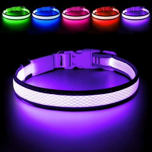 Flashseen LED Light Up Dog Collar, USB Rechargeable, Purple, S - color: Purple, size: Small
