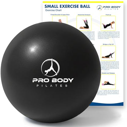 ProBody Pilates Ball Small — 9 Inch Small Exercise Ball - color: Black