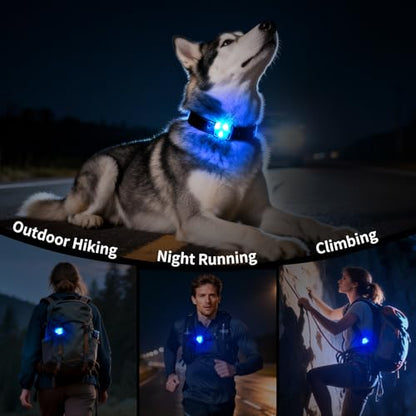 LaRoo LED Dog Collar Light - Waterproof Clip-On 3 Modes, High Visibility for Night Walking/Camping, Pet Safety Light for Small/Medium/Large Dogs (Blue) - color: Blue-A