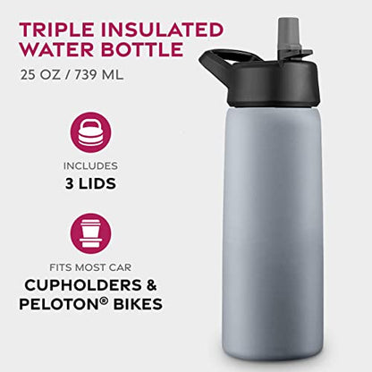 FineDine Insulated Water Bottle with Straw, 25 Oz, Modern Lava Gray - color: Modern Lava Gray, size: 25 Ounces