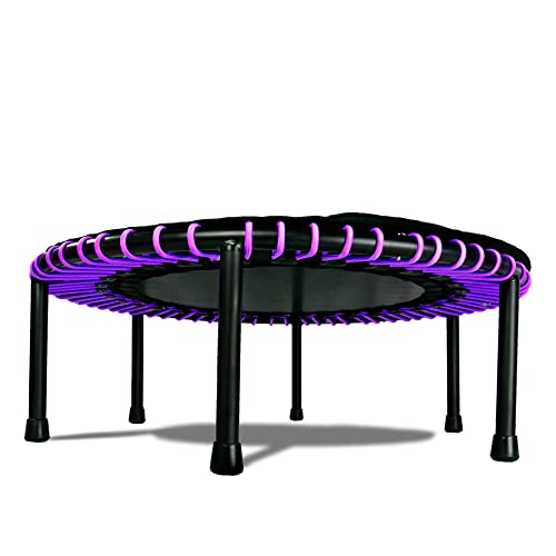 LEAPS & REBOUNDS Fitness Rebounder, 48 in, Stability Bar, Purple