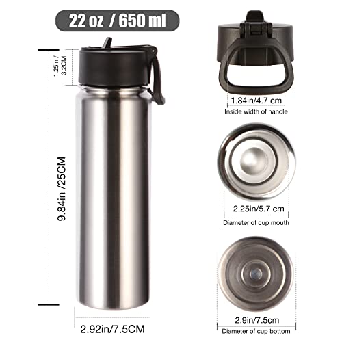 Volhoply Insulated Water Bottles with Straw Bulk 2 Pack, 22 oz Stainless Steel Sports Bottle with Handle Lid, Double Walled Vacuum Metal Cups Cup, Reusable Cold Water Flask for Hiking(Silver,2 Set) - color: Silver
