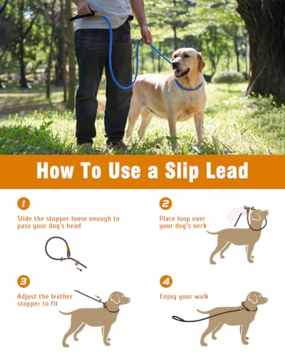 lynxking Dog Leash Slip Lead, Braided Padded Loop Leash 5ft 6ft 8ft - color: Blue