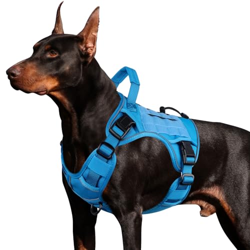 WINGOIN Blue Tactical Dog Harness for Large Dogs,No Pull Dog Harnesses - color: Blue, size: Large: 45-80 lbs (Chest:27-37",Neck:19-25")