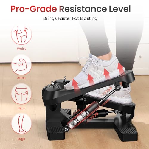 FLYBIRD Home Gym Stair Stepper – Compact Cardio & Lower‑Body Workout Machine, Supports Up to 350 LBS, Targets Legs, Hips & Glutes, Ideal Fitness Gear for Both Men and Women