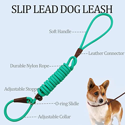 MayPaw Slip Lead Control Leash for Dogs No Pull, 13+ Colors Classic Dog Lead 7 FT Pet Slip Leash, 1/4” Rope Leashes for Small Medium Animals (7ft*1/4", Turquoise) - color: turquoise