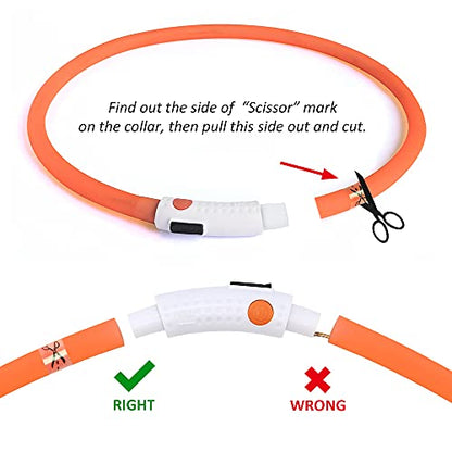 BSEEN Light Up Dog Collar, Glowing LED Dog Collar Rechargeable Cuttable Lighted Puppy Collar Safety Dog Lights Makes Your Beloved Dogs Be Seen at Night(Orange) - color: Orange-Standard(70cm)