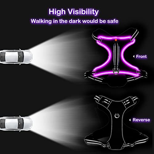 Light Up Dog Harness, Rechargeable LED Dog Vest for Night Walking - color: Purple-Pink, size: XL