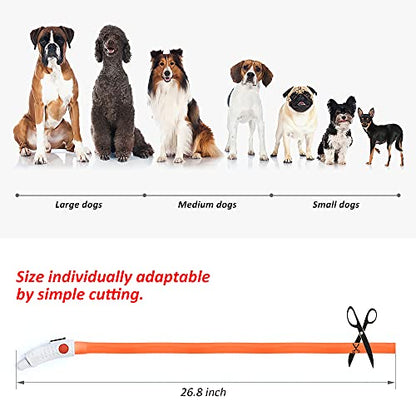 BSEEN Light Up Dog Collar, Glowing LED Dog Collar Rechargeable Cuttable Lighted Puppy Collar Safety Dog Lights Makes Your Beloved Dogs Be Seen at Night(Orange) - color: Orange-Standard(70cm)