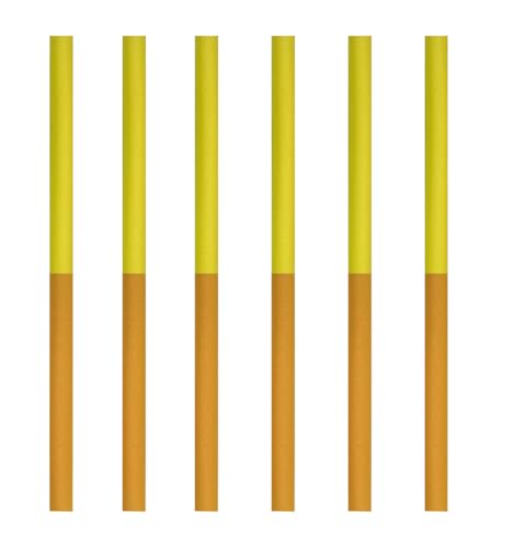 LANGXUN55-60 inch Indoor Trampoline Replacement 6 pcs Foam Rod - color: Orange&Yellow