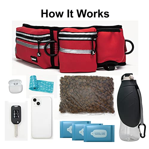 Kruz Hands Free Dog Leash (Waist 26”- 48”, Leash- 1”x 5ft) Premium Waist Belt for Walking, Running & Hike Bungee with Dual Handles, Adjustable Fit, Reflective Safety Design for Large Dogs (Turquoise) - color: Turquoise