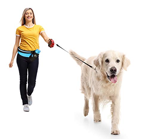 Running Belt Sport Waist Pack/Pouch w/Water Bottle Holder Hydration Fanny Pack Reflective Stripes Cellphone Storage Earphone hole for Dog walker Hiking Travel Adjustable Women/Men (BLACK/Royal Blue) - color: BLACK/Navy Blue