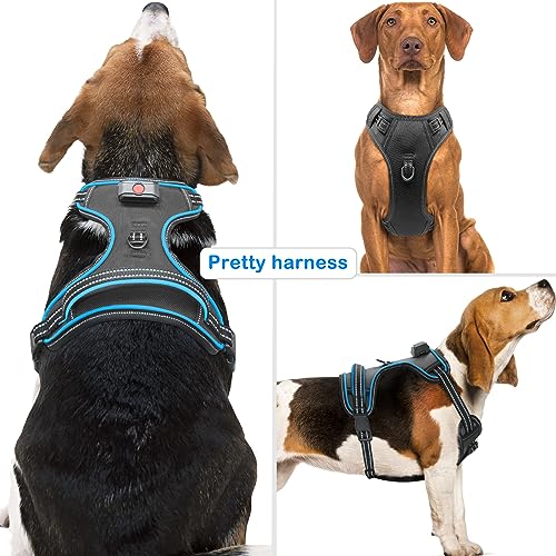 Light Up Dog Harness, Rechargeable LED Dog Vest for Night Walking - color: Black-Blue, size: S