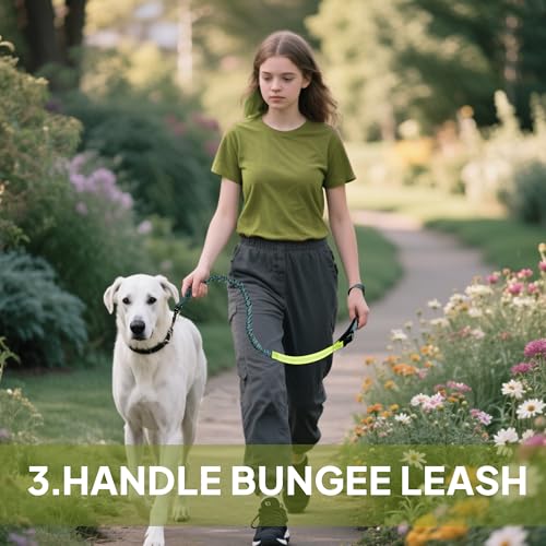 Hands Free Dog Leash with Zipper Pouch, Waist Leash for Dog Walking, Running and Hiking, Adjustable Belt with Handle, Reflective Bungee Design for Large & Medium Dogs