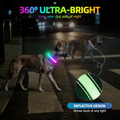 Flashseen Multicolor LED Light Up Dog Collar, RGB 9-Mode, USB Rechargable - color: White, size: Small