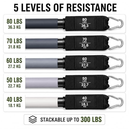 WELLEGEND Resistance Bands Set with Complete Workout Accessories