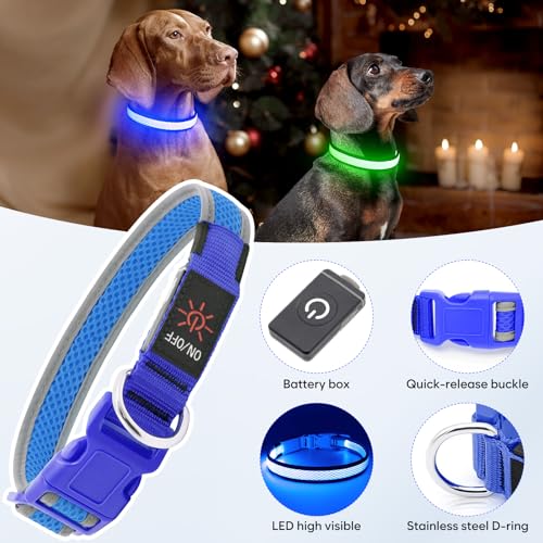 Flashseen LED Dog Collar, Light Up Dog Collar USB Rechargeable, Blue, M - color: Blue, size: Medium