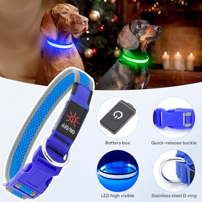 Flashseen LED Dog Collar, Light Up Dog Collar USB Rechargeable, Blue, M - color: Blue, size: Medium