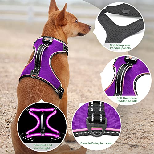 Light Up Dog Harness, Rechargeable LED Dog Vest for Night Walking - color: Purple-Pink, size: XL