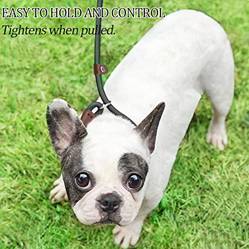 MayPaw Slip Lead Control Leash for Dogs No Pull, 13+ Colors Classic Dog Lead 7 FT Pet Slip Leash, 1/4” Rope Leashes for Small Medium Animals (7ft*1/4", Turquoise) - color: turquoise