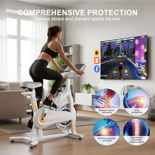 Exercise Bikes for Home,Spin Bike with Adjustable Magnetic,Brake Pad Resistance Silent Belt Drive,350lbs/300lbs Weight Capacity &Upgraded Version Seat for Home Cardio&Weight Loss(QM-530W) - color: White