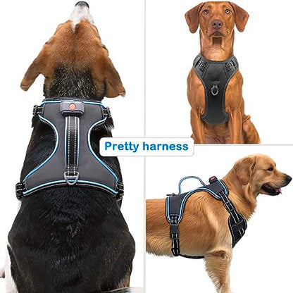 Light Up Dog Harness, Rechargeable LED Dog Vest for Night Walking - color: Black-Blue, size: M