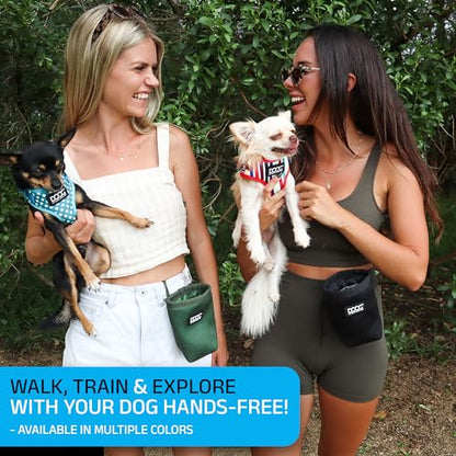 DOOG Treat & Training Pouch - Green | Clip-On Pouch for Dog Walks & Training - color: Green, size: Small
