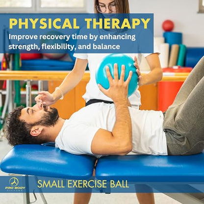 ProBody Pilates Ball Small — 9 Inch Small Exercise Ball - color: Purple