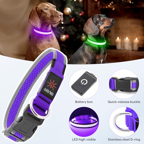 Flashseen LED Light Up Dog Collar, USB Rechargeable, Purple, M - color: Purple, size: Medium