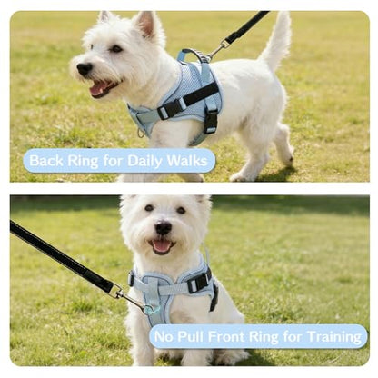 AIITLE No-Pull Dog Harness Reflective Mesh Vest Adjustable, Blue S - color: Blue, size: S