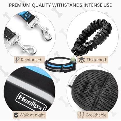 Hands-Free Waist Leash with Pouch for Two Dogs,Reflective Stitching, Dual Handle & Bungee Retractable Design – Ideal for Medium to Large Dogs (Blue) – Dog Walking Accessories - color: Blue