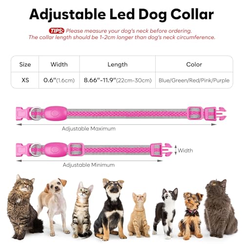 Flashseen LED Dog Collar, Light Up Dog Collar USB Rechargeable, Pink, XS - color: Pink, size: X-Small