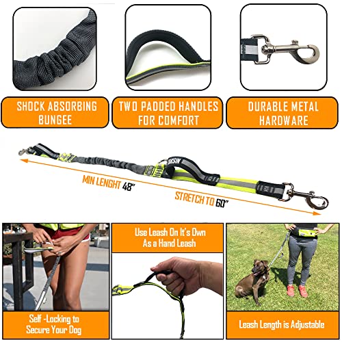 TAKSIN The Ultimate Hands Free Two Dogs Double Leash System for Walking Running Hiking Training, Reflective Bungee Leash, Treat Holder, Poop Bag Dispenser Small Medium Large Dogs (Yellow Deluxe Pack) - color: Yellow, size: Two Dogs