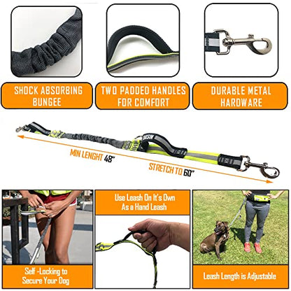 TAKSIN The Ultimate Hands Free Two Dogs Double Leash System for Walking Running Hiking Training, Reflective Bungee Leash, Treat Holder, Poop Bag Dispenser Small Medium Large Dogs (Yellow Deluxe Pack) - color: Yellow, size: Two Dogs