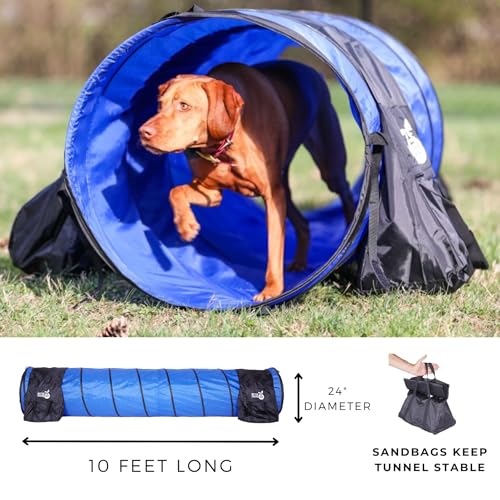 Better Sporting Dogs 3 Piece Dog Agility Equipment Set