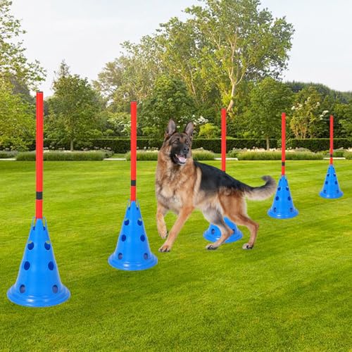 Garvee Dog Agility Hurdle Cone Set — 12 Cones & 6 Rods, Adjustable Height