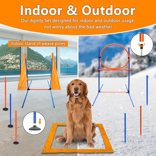 Dog Agility Training Equipment，80Pcs Dog Obstacle Course Backyard for Large Dogs