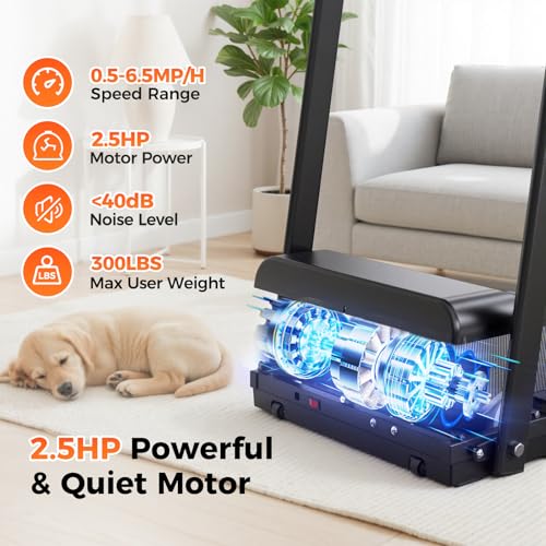 Lastforever Treadmill for Home with Extended Handrails & Senior Friendly