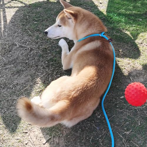 MayPaw Slip Lead Control Leash for Dogs No Pull, 13+ Colors Classic Dog Lead 7FT Pet Slip Leash, 1/4” Rope Leashes for Small Medium Animals (7ft*1/4", Blue) - color: blue