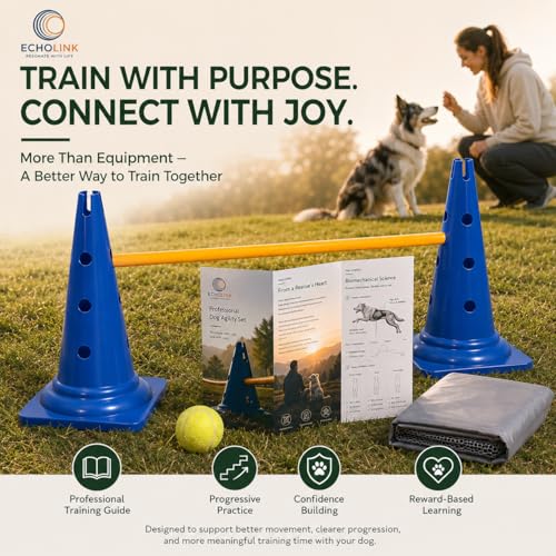 Dog Agility Equipment, 20-Inch Hurdle Set, 10.6 oz Weighted Cones - size: 20-Inch-Blue