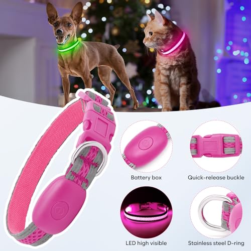 Flashseen LED Dog Collar, Light Up Dog Collar USB Rechargeable, Pink, XS - color: Pink, size: X-Small