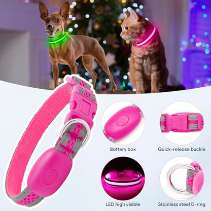 Flashseen LED Dog Collar, Light Up Dog Collar USB Rechargeable, Pink, XS - color: Pink, size: X-Small