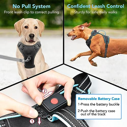 Light Up Dog Harness, Rechargeable LED Dog Vest for Night Walking - color: Black-Blue, size: M